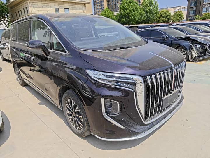 Hongqi HQ9 Hybrid, 2024 — фото 4 из 9