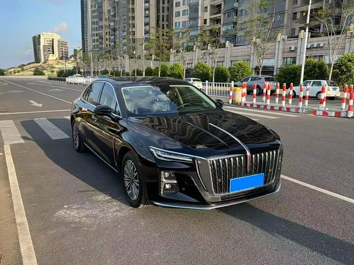 Hongqi H5, 2023 — фото 3 из 9