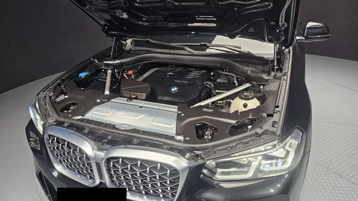 BMW X4, 2022 — фото 6 из 12