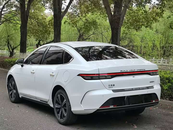 BYD Destroyer 05, 2024 — фото 4 из 9