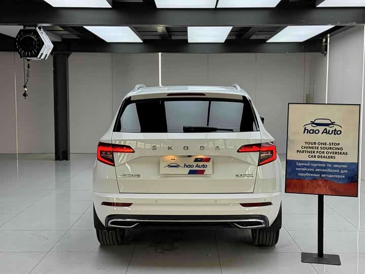 Skoda Karoq, 2023 — фото 6 из 9