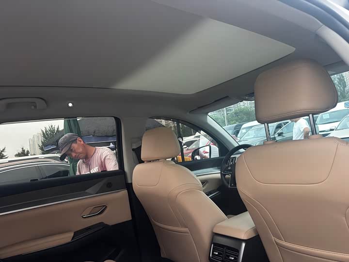 BYD Song Pro Hybrid, 2024 — фото 6 из 9