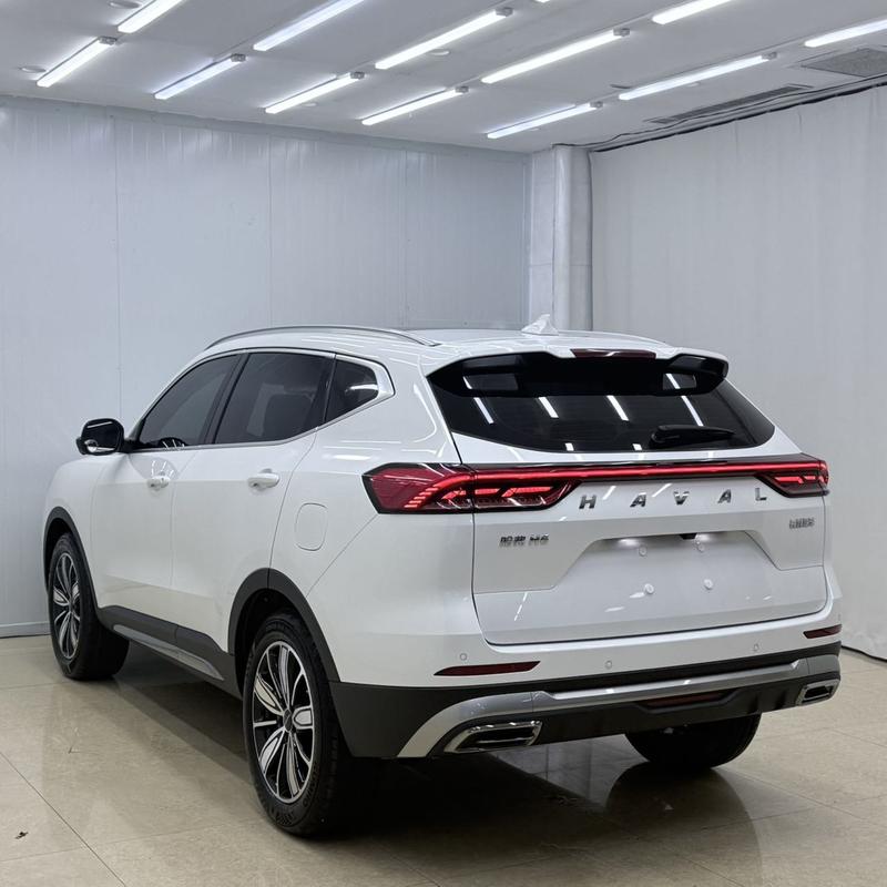 Haval H6, 2024 — фото 4 из 12