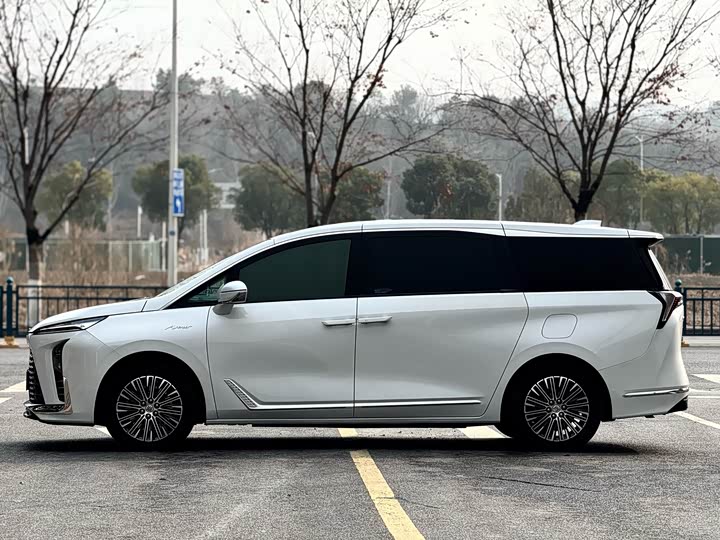 Buick GL8 Hybrid, 2024 — фото 3 из 9