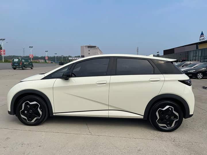 BYD Dolphin, 2022 — фото 8 из 9