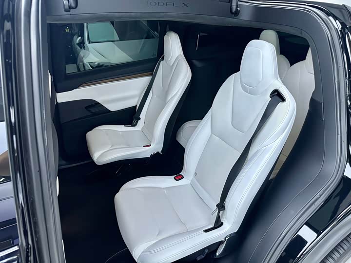 Tesla Model X, 2023 — фото 9 из 9
