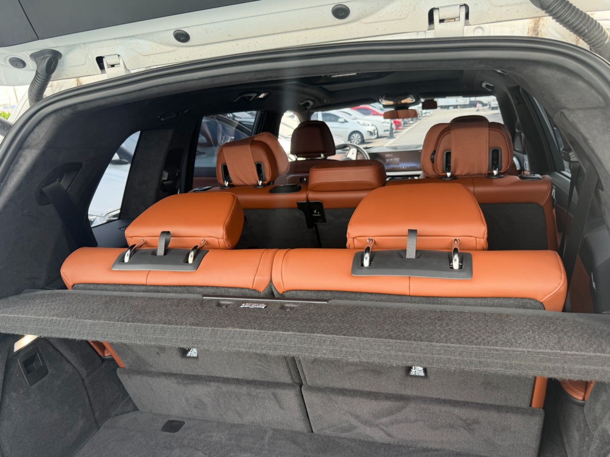 BMW X7, 2025 — фото 10 из 11