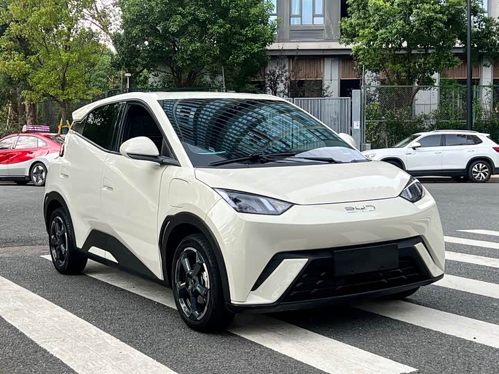 BYD Seagull, 2024 — фото 3 из 9