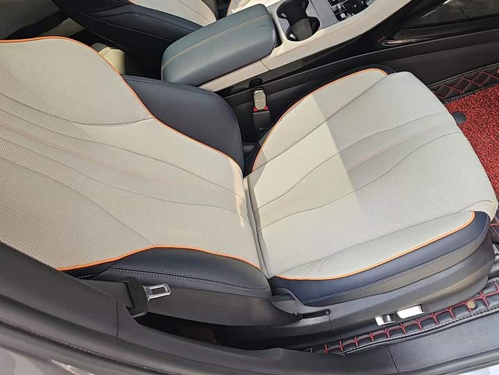 BYD Song Plus Hybrid/EV, 2023 — фото 8 из 9