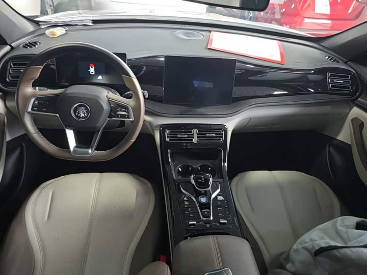 BYD Qin Plus, 2024 — фото 6 из 9