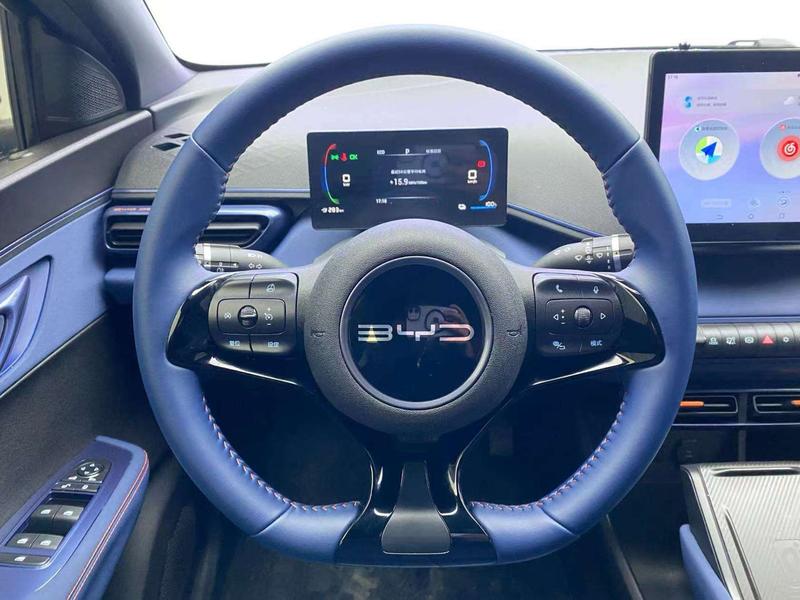 BYD Seagull, 2024 — фото 10 из 12