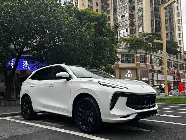 Dongfeng Forthing T5 EVO, 2022 — фото 3 из 9