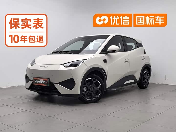 BYD Seagull, 2025 — купить в Перми под ключ