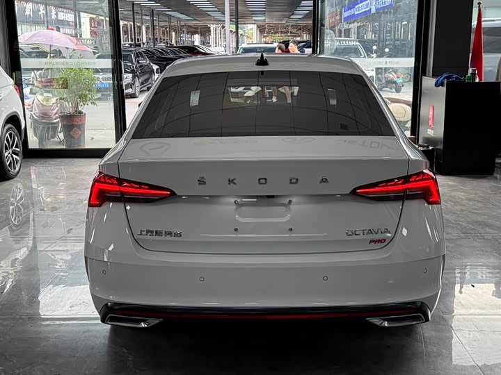 Skoda Octavia Pro, 2023 — фото 5 из 9