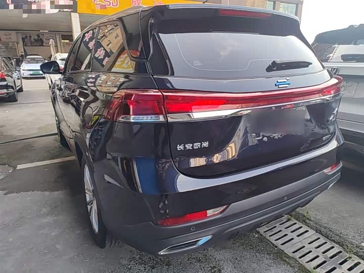 Changan Oshan X7 Plus, 2021 — фото 5 из 9