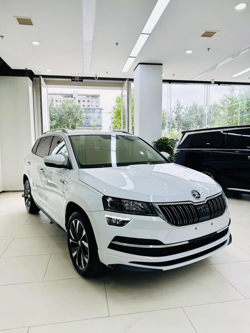 Skoda Karoq, 2023 — фото 3 из 12