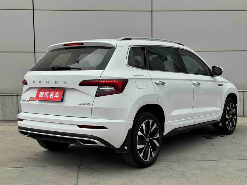 Skoda Karoq, 2024 — фото 6 из 11