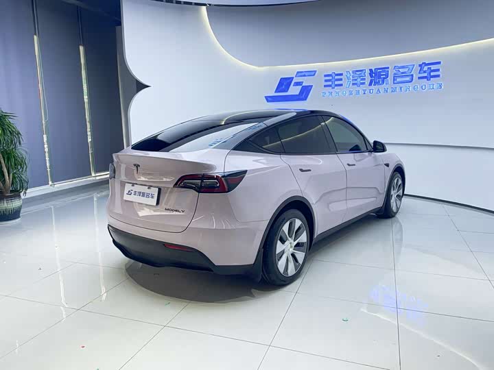 Tesla Model Y, 2021 — фото 3 из 9