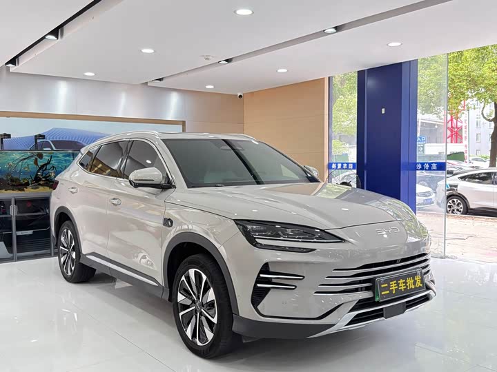 BYD Song Plus Hybrid/EV, 2025 — фото 3 из 9