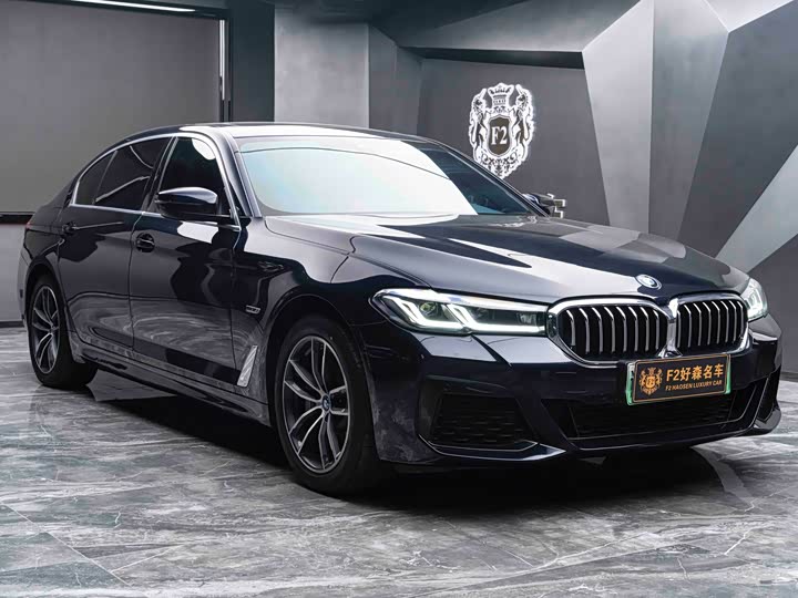 BMW 5 Series Hybrid, 2022 — фото 7 из 9