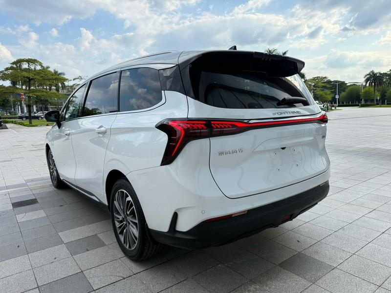 Dongfeng Forthing Yacht, 2024 — фото 5 из 12
