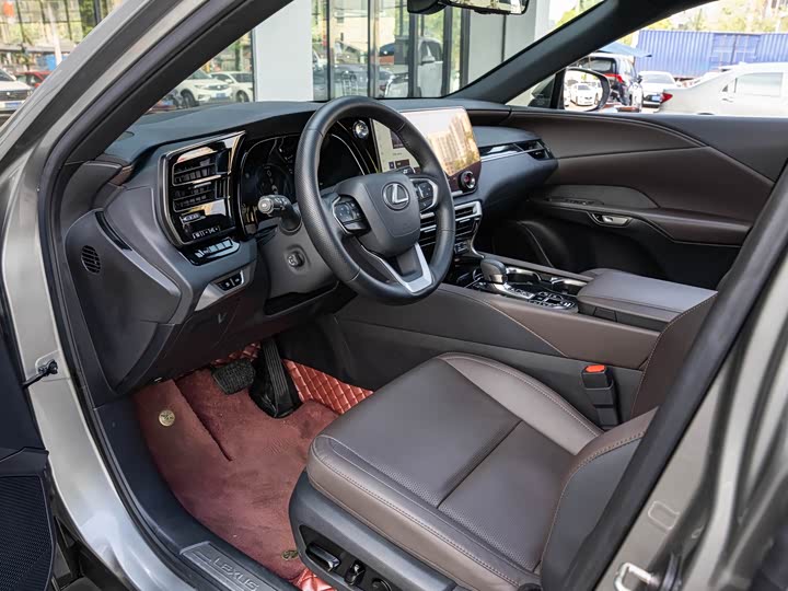 Lexus RX Hybrid, 2023 — фото 9 из 9
