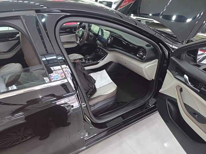 BYD Qin Plus, 2023 — фото 9 из 9