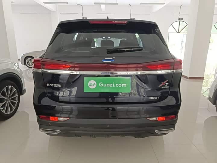 Changan Oshan X7 Plus, 2023 — фото 6 из 9