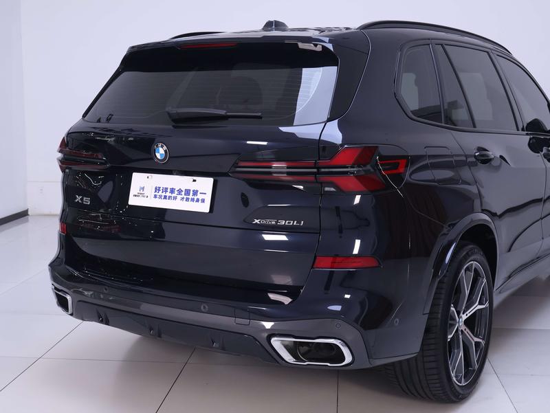 BMW X5, 2025 — фото 3 из 12