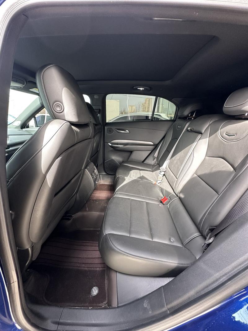 Cadillac XT4, 2024 — фото 11 из 12