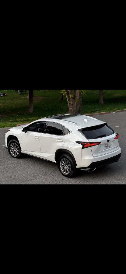 Lexus NX, 2021 — фото 6 из 12