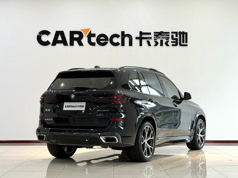 BMW X5, 2025 — фото 7 из 12