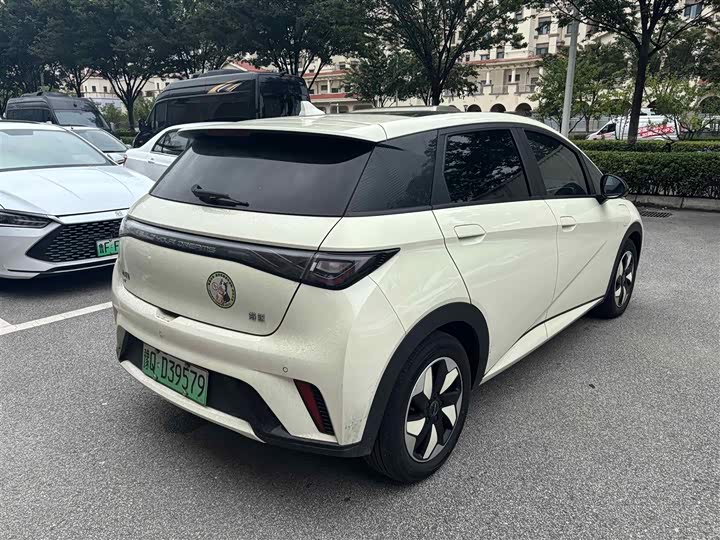BYD Dolphin, 2024 — фото 4 из 9