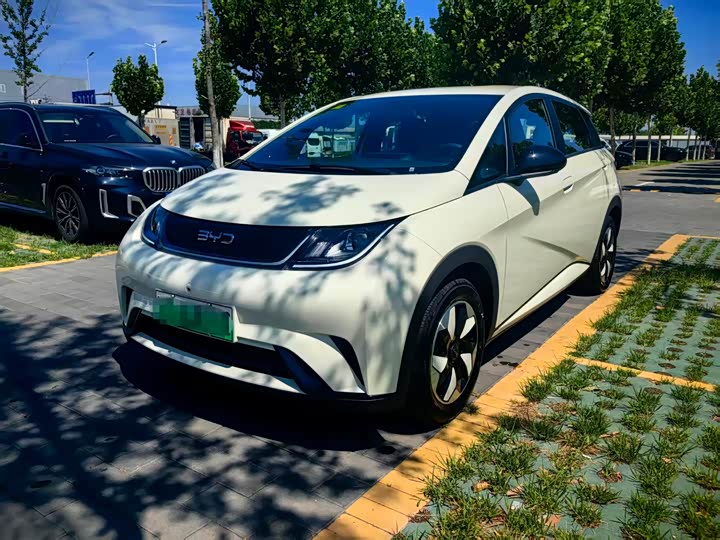 BYD Dolphin, 2026 — купить в Кирове под ключ
