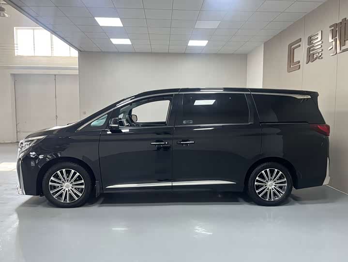 GAC Trumpchi M8, 2023 — фото 8 из 9