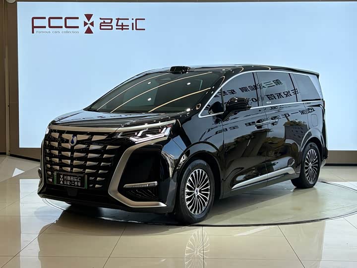 Denza D9, 2025 — купить в Тамбове под ключ