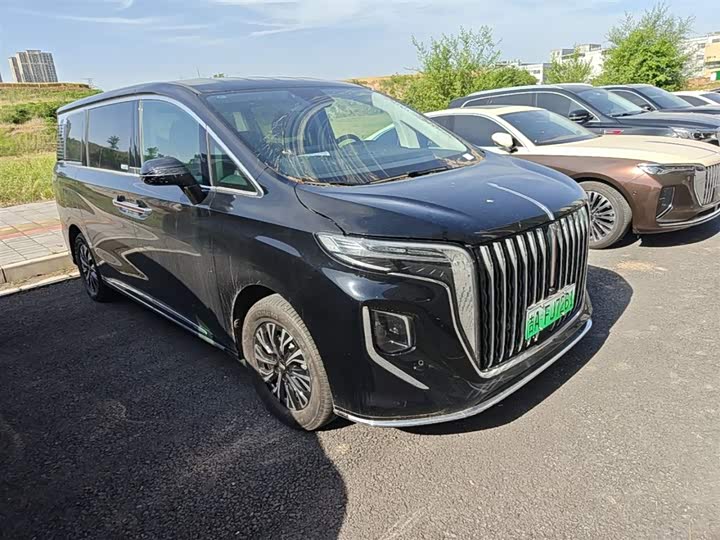 Hongqi HQ9 Hybrid, 2024 — фото 4 из 9
