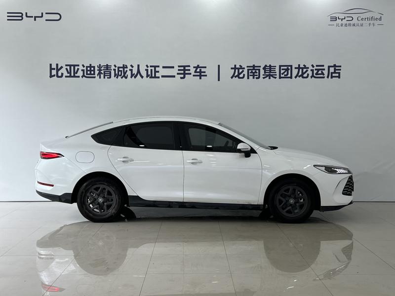 BYD Qin Plus, 2024 — фото 5 из 12