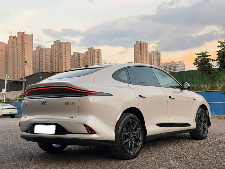 IM motors LS6, 2024 — фото 9 из 9