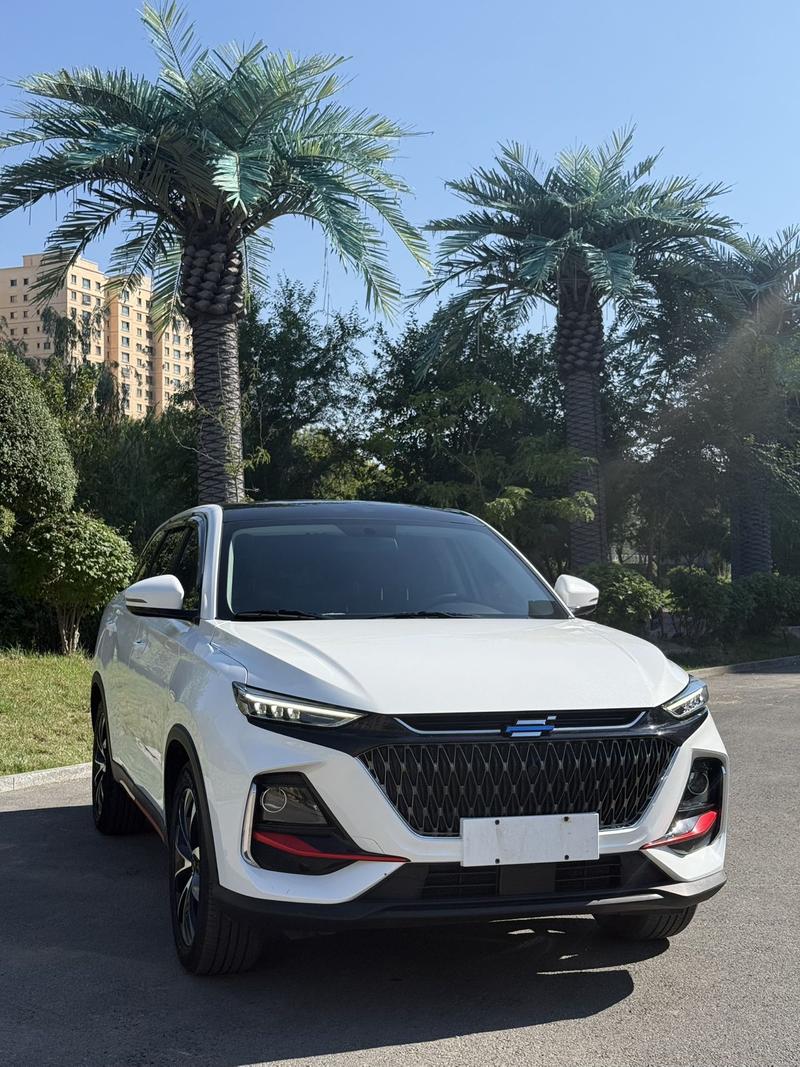 Changan Oshan X7 Plus, 2023 — фото 3 из 8