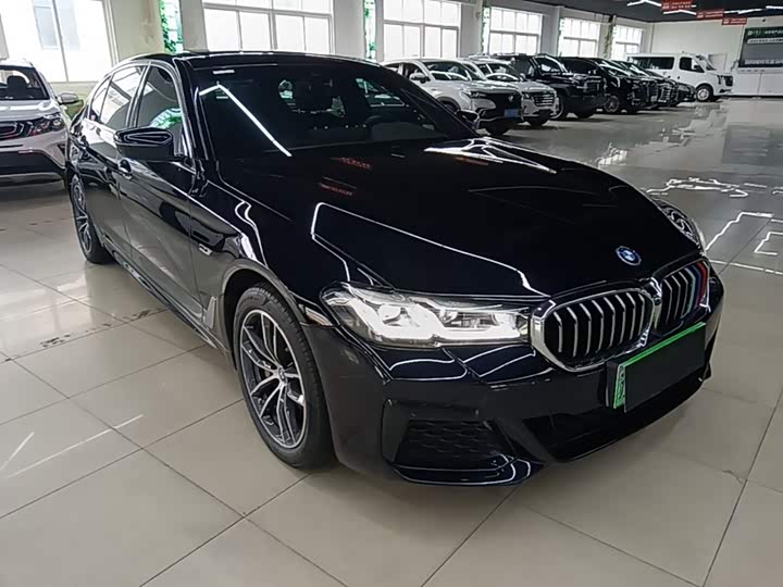 BMW 5 Series Hybrid, 2022 — фото 4 из 9