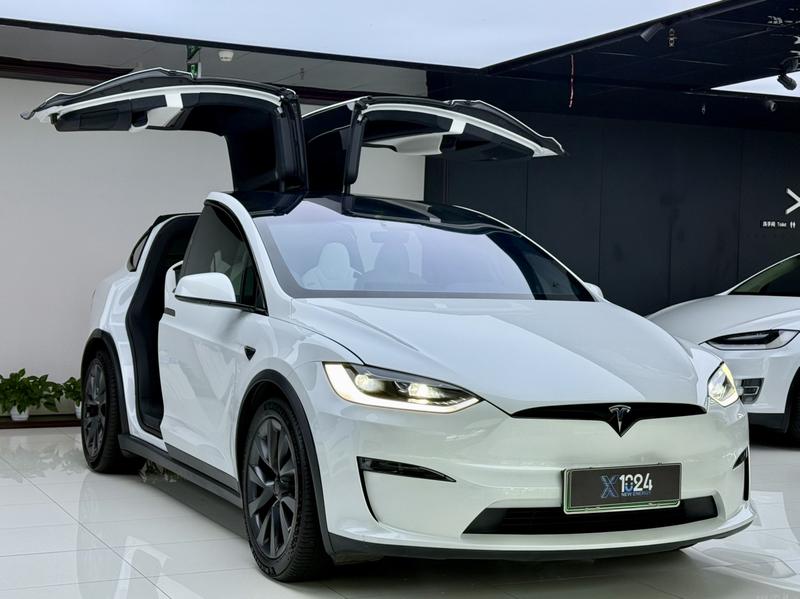 Tesla Model X, 2023 — фото 3 из 12