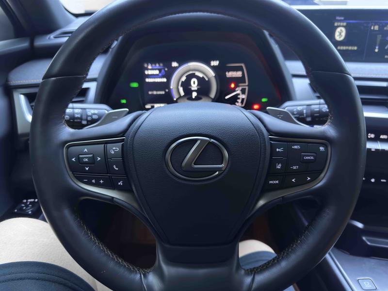 Lexus UX Hybrid, 2022 — фото 10 из 12