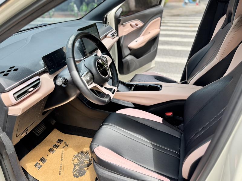 BYD Seagull, 2023 — фото 11 из 12