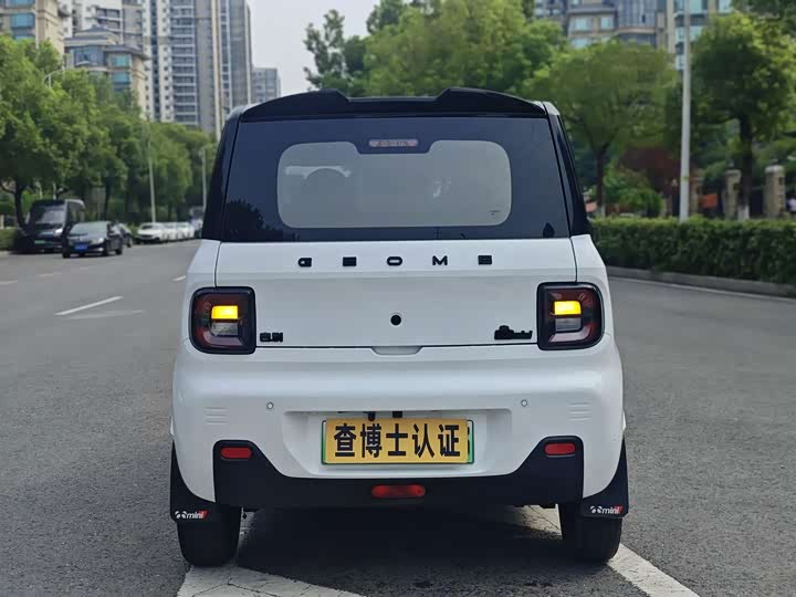 Geely Galaxy Panda Mini, 2023 — фото 6 из 9