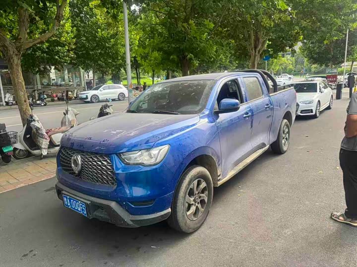 Great Wall Pao, 2021 — купить в Ульяновске под ключ