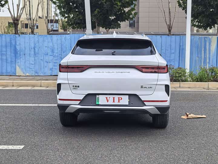 BYD Song Plus Hybrid/EV, 2023 — фото 8 из 9
