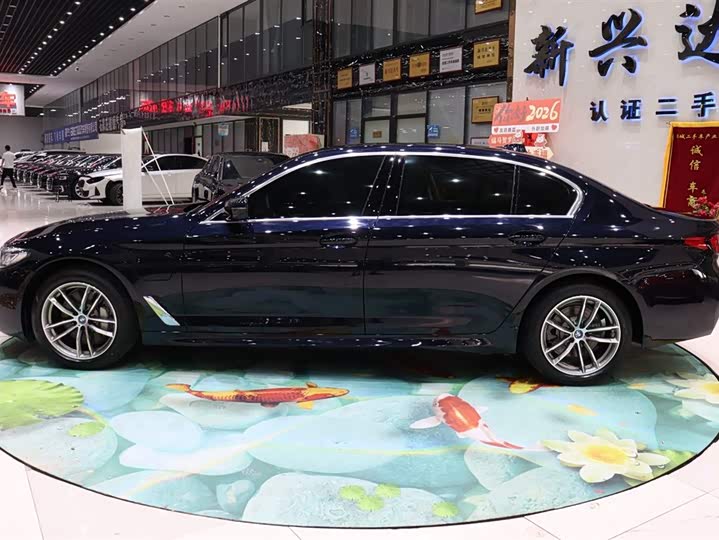 BMW 5 Series Hybrid, 2022 — фото 3 из 9