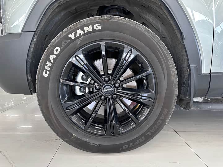 Haval Raptor Hybrid, 2025 — фото 9 из 9