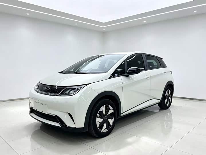 BYD Dolphin, 2024 — купить в Самаре под ключ